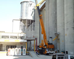 elevación de silos en planta maseca